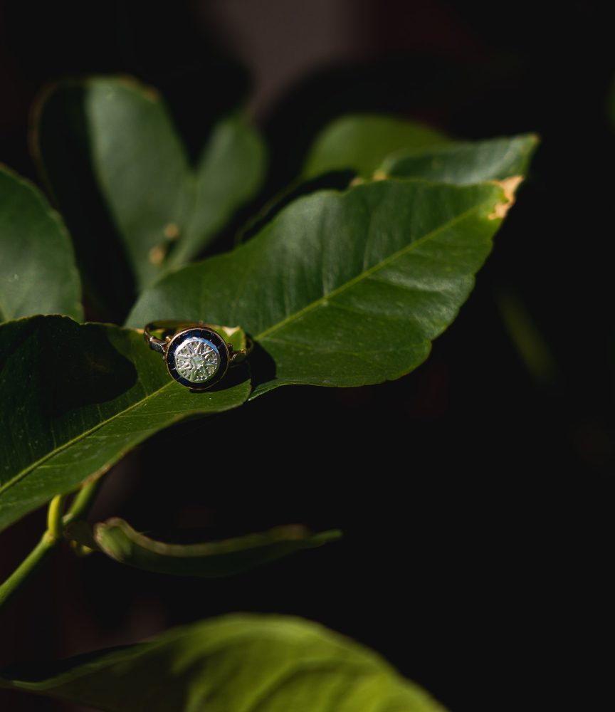 葉の上の指輪