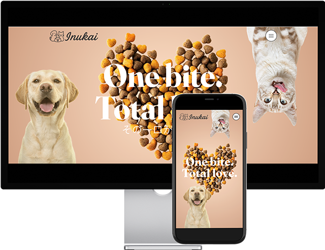 画面嵌め込みイメージ