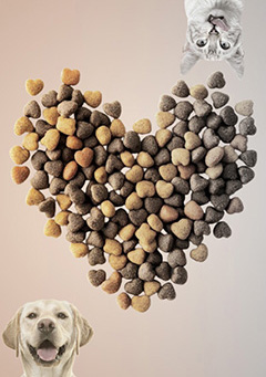 株式会社イヌカイ